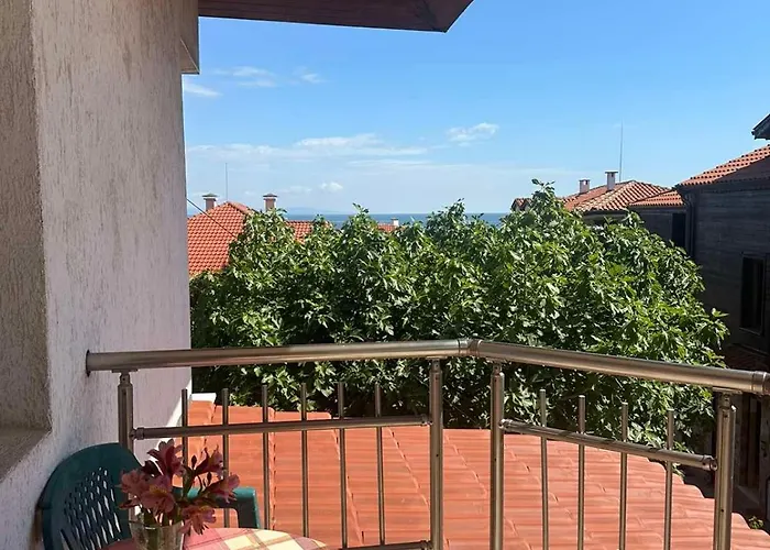 под наем понтика