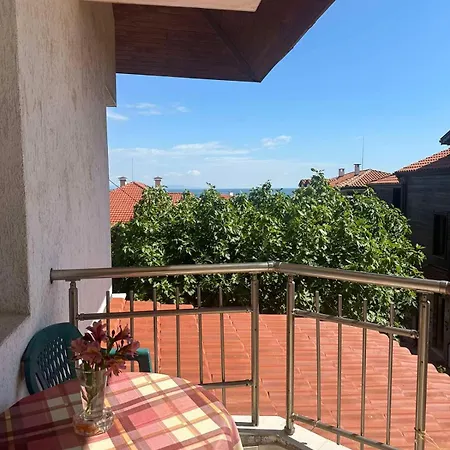 под наем понтика